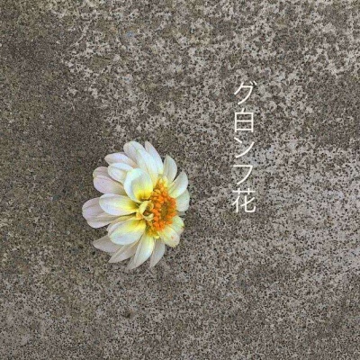 日语带字背景图 先努力让自己发光，对的人才能迎着光而来
