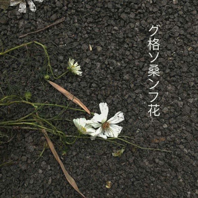 日语带字背景图 先努力让自己发光，对的人才能迎着光而来