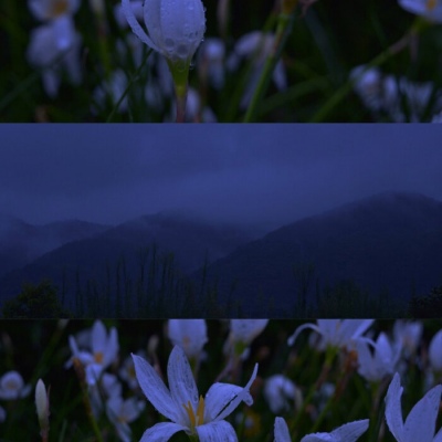 沐糖/风景静物的冷色聊天壁纸 唯美高级优质