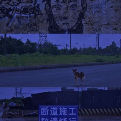 沐糖/风景静物的冷色聊天壁纸 唯美高级优质