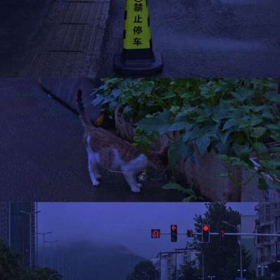 沐糖/风景静物的冷色聊天壁纸 唯美高级优质