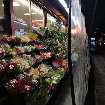 简约花朵系列背景图