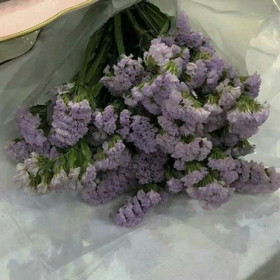 简约花朵系列背景图