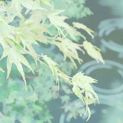 雨景头像