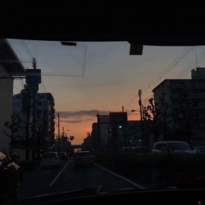 苏瓷:文艺黑色系背景（静物 暗色系 高冷 文艺）