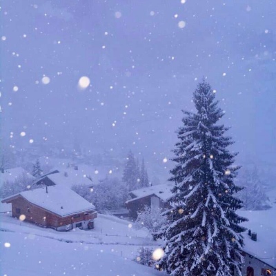 〈陈情〉瑞士雪景。