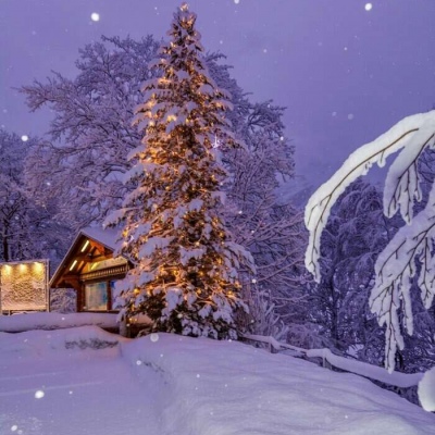 〈陈情〉瑞士雪景。