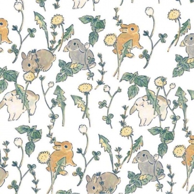 背景图/壁纸    文艺 鲜花 兔子 简约