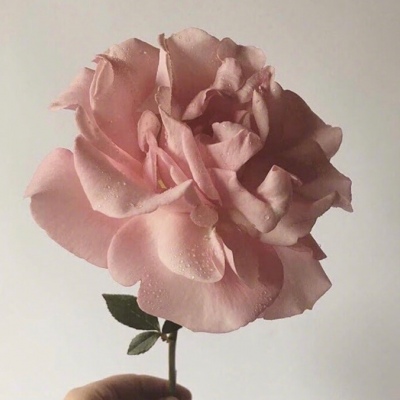 少女心 你是我明目张胆的偏袒，众所周知的私心 沈俞讪
