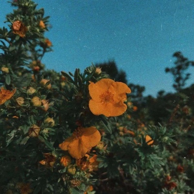 欧美风来啦~