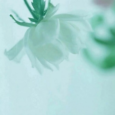 柠七：意境浅蓝