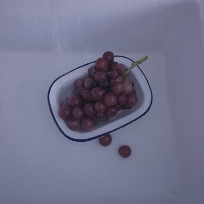 偏蓝背景   斯人若彩虹 遇上方知有  沈俞讪