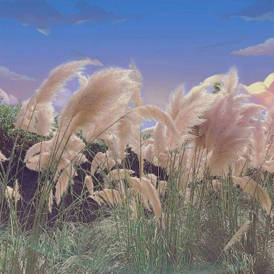 绝美背景
