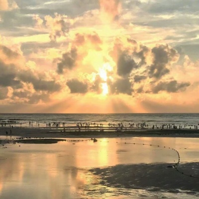 〈陈情〉唯美海边背景图，坠落星空