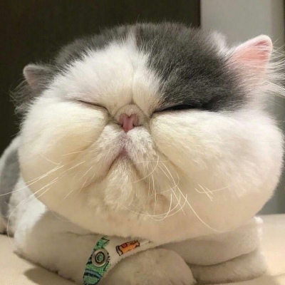 念七 可爱头像