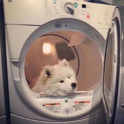 简约ins风背景图/可爱/怀旧  乔嬄