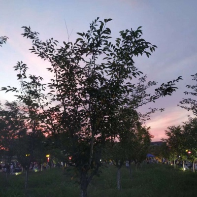林鹤居/?有你的每一天都是五彩斑斓的