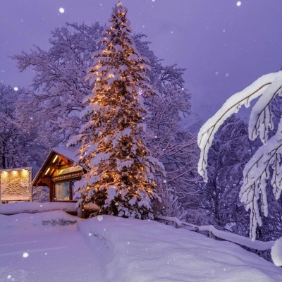 千鹤/唯美雪景/寒來暑往 秋收冬藏