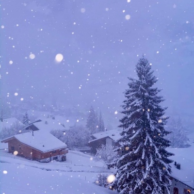 千鹤/唯美雪景/寒來暑往 秋收冬藏