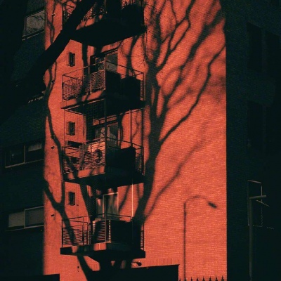 光影暮色 Monty Kaplan