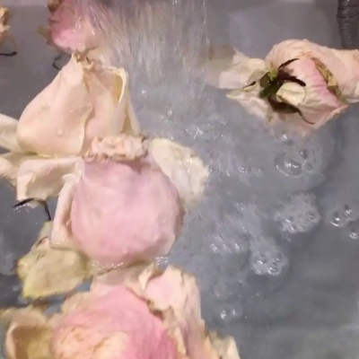 七妎：唯美花朵水浴 背景图片