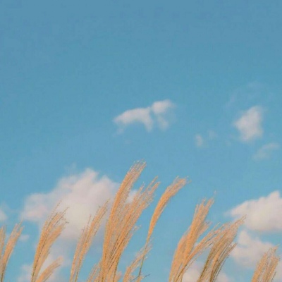 千鹤/唯美天空/希望繁忙的人们，在这一刻可以放松下来