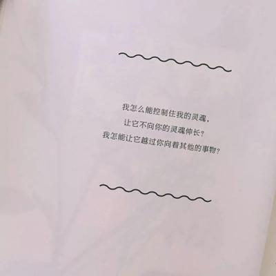 苏瓷:文字背景（简约 白色系 文字 书本 气质 文艺）