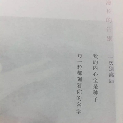 苏瓷:文字背景（简约 白色系 文字 书本 气质 文艺）