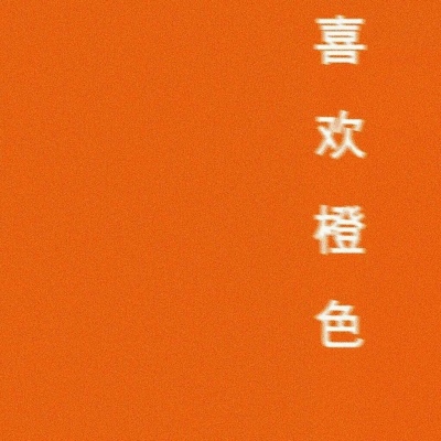 念七 橙色系ins静物头像