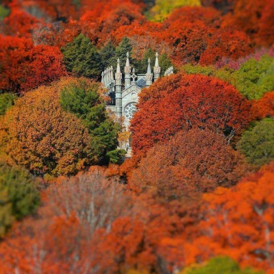 唯美秋景/头像背景图/秋日波士顿
