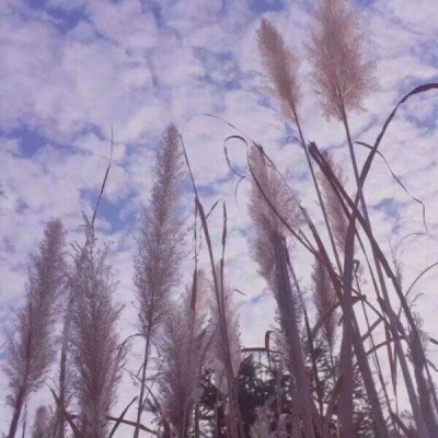 恬恬/唯美意境天空海岸背景/少女的征途是星辰大海?