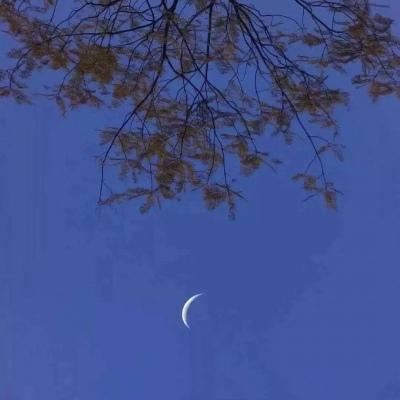 背景图你眼里泛起山河 碧波里没有我有她