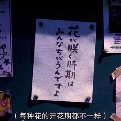 （背景图）好好生活，慢慢相遇（星空）