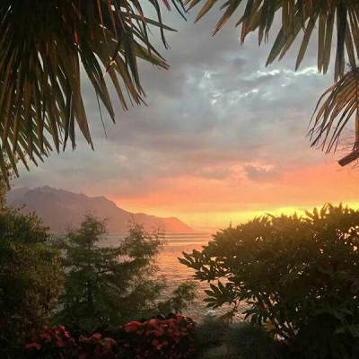 苏瓷:唯美背景（意境 静物 景物 唯美 风景 ）