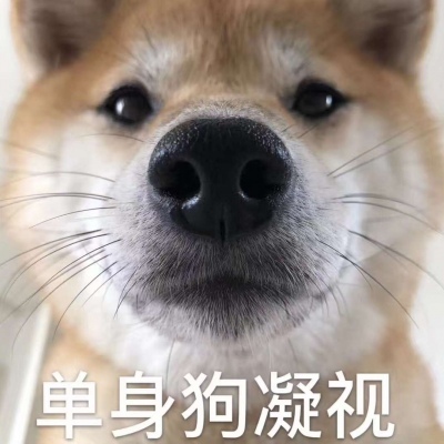 咳咳 ，单身狗/表情包