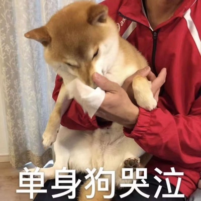 咳咳 ，单身狗/表情包