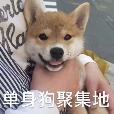 咳咳 ，单身狗/表情包