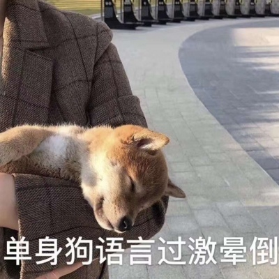 咳咳 ，单身狗/表情包