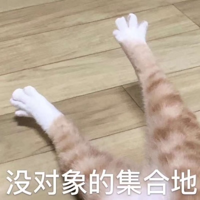 咳咳 ，单身狗/表情包