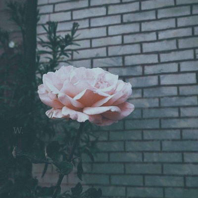 念七 略丧ins
