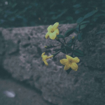 念七 略丧ins