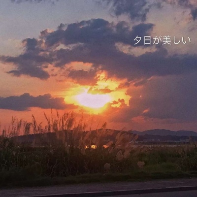 颜值超高的背景图/顾沈辞