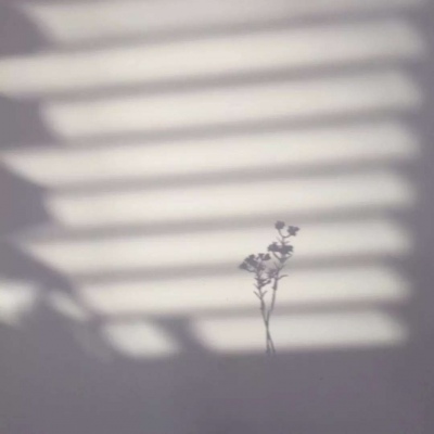 颜值超高的背景图/顾沈辞