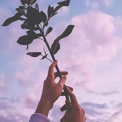 限量版·微丧·背景图：我用了一倍的奢望换回了两倍的失望
