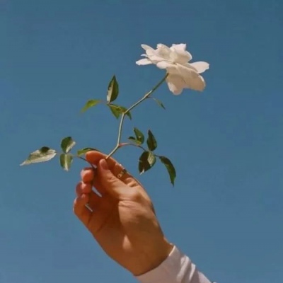 限量版·微丧·背景图：我用了一倍的奢望换回了两倍的失望