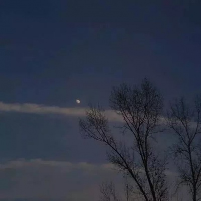 芯儿    ins可爱背景图