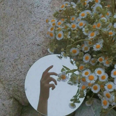 芯儿    ins可爱背景图