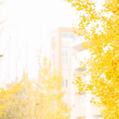 黄色系唯美风景/生活总是在你绝望时，给你闪一点希望的火花。