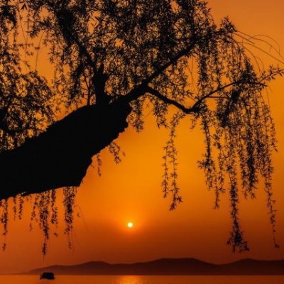 千鹤/夕阳西下/唯美意境背景图