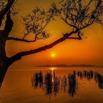 千鹤/夕阳西下/唯美意境背景图